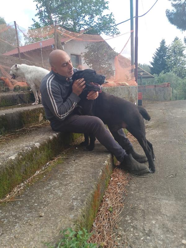 💔 Appello del Cuore: OPI e THOR cercano una famiglia 💔 Foto 7